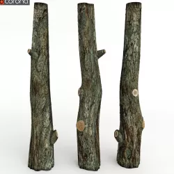 tree trunk 3D model