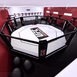 UFC Hall 3D model