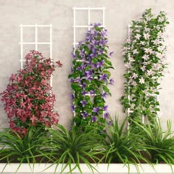 Wall flowers Low-poly  3D model