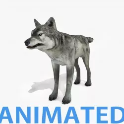 Wolf - Animated Low-poly  3D model