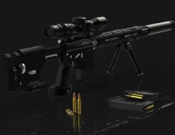 AR-15 Sniper Rifle