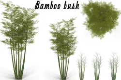 Bamboo bush 3D model