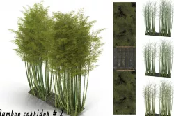 Bamboo corridor 2 3D model