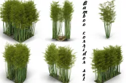 Bamboo corridor set 3D model