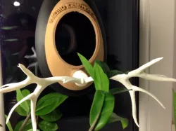 BIRD FEEDER 2.0