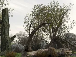 Brush Wood Low-poly  3D model