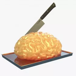 Cake brain 3D model