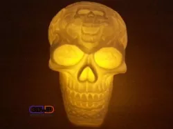 Celtic Skull (Hollow)