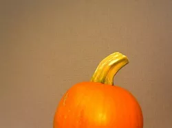 Digitizer Pumpkin!
