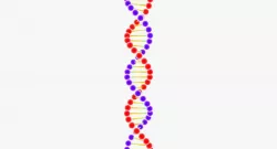 DNA Structure Low-poly  3D model