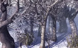 European Foliage 2 Low-poly  3D model