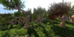 Fantasy Trees Low-poly  3D model
