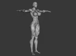 Female Template Body Builder Muscle Ripped 3D model