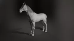 Horse  3D model