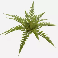 Low Poly Common Fern Low-poly  3D model