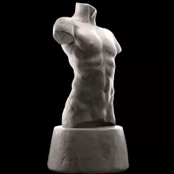 Male torso 3D model