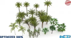 Palm Trees Pack Optimized Low-poly  3D model