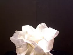 paper towel