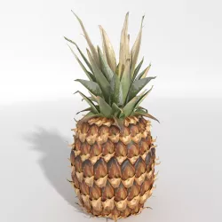 Realistic Pineapple 3D model