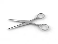 Scissors 3D model
