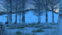 ski facility 3D model