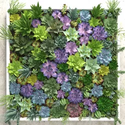 Succulents wall 3D model