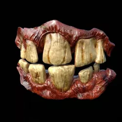 Teeth Corona render scene and Substance Painter files 3D model