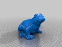 The Frog