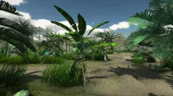 Tropical Models Low-poly  3D model