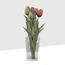 Tulips Pack 3D model