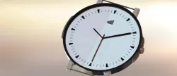 Wrist watch