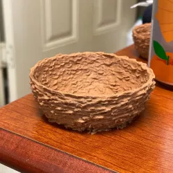 Bird nest for Wingspan (holds eggs)