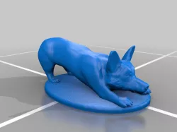 Corgi