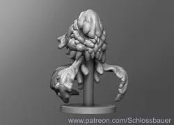 Death head Jellyfish