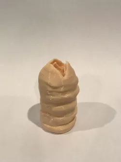 Dune Sandworm