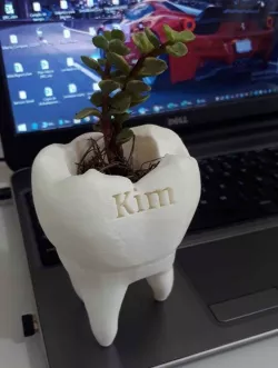 Maceta muela (Tooth pot) para personalizar
