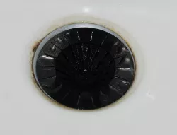 Simple Customizable Drain Sieve