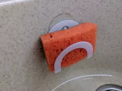 Suction cup sponge holder