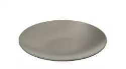 Basic Dinner Plate