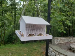 Bird Feeder