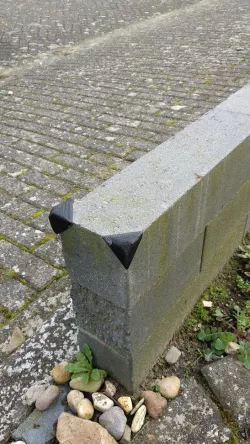 bump cap