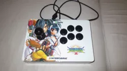 DIY Arcade Fightstick