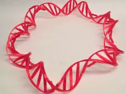 DNA lei