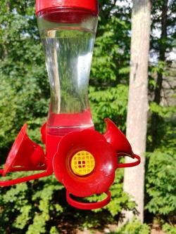 hummingbird feeder bee guard 3d models 【 STLFinder