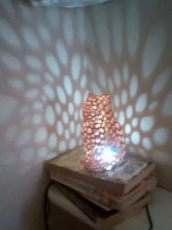 laser cat lamp