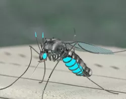 Mosquito Robot