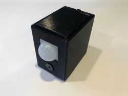 Motion Buzzer