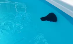 Pool nozzle (Pooldüse) Bestway Stahlwand Pool