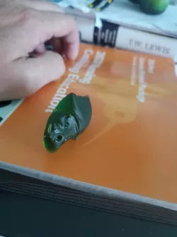 Rhino