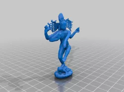 Shiva Nataraja (Lord of the Dance)